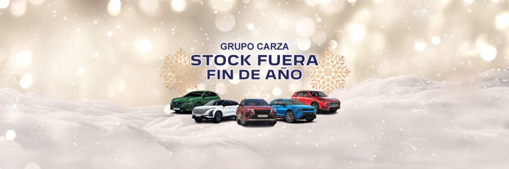 Stock Fuera Fin de año grupo carza
