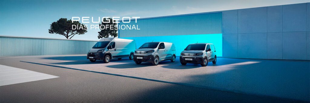 Peugeot Profesional